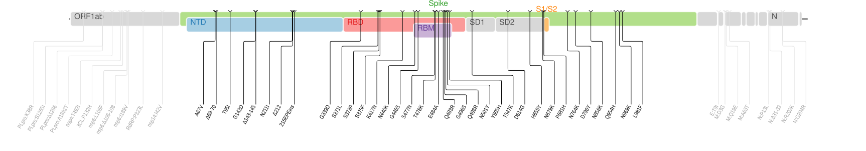 奥密克戎变异株的基因组序列如上图所示