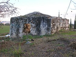 Sitt Manna', one of five sisters, whose maqam is just northeast of the centre of Bir Ma'in