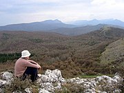 Trascău view