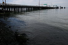 Water is meeting the shore in the foreground of the picture while a pylon based bridge is in the far left corner, which is the ferry dock