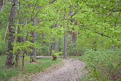 Karizhsky reserve, Glushkovsky District