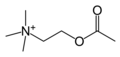 Acetylcholine