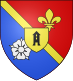 圣让-圣尼古拉徽章