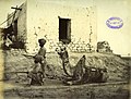 尼罗远征队的锡克士兵与骆驼，往喀土穆 (1884/5年)