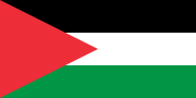 巴勒斯坦国旗（长三角）