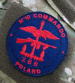 Zespoł Bojowy B, Combined Operations insignia