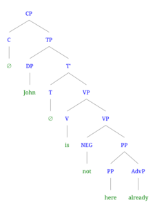 Syntax tree of (1c) John is not here already (negative)