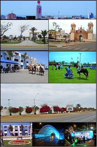 From top and left to right: View toward Víctor Larco city, Main Square of Vista Alegre, Santiago de Huamán church, Paso Horses in a parade, Marinera dance with a Paso horse, Association of Breeders and Owners of Paso Horses in La Libertad, Municipality of Victor Larco in Buenos Aires, Pedestrian walk of waters
