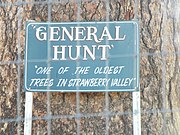 "General Hunt" marker