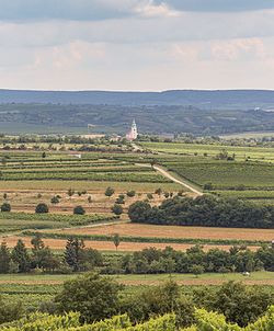 Remote view of Unterretzbach and parish church