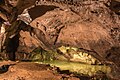 Býčí skála cave, interior