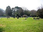 a grass field with several standing stones. In the background is a road and trees