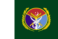 巴基斯坦武裝部隊三軍檢閱旗