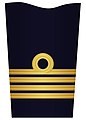 1. Sleeve insignia for a captain (2003–present)