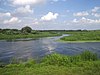 Postomia River in the Ujście Warty NP