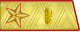 1955年－1974年苏联装甲兵元帅礼服肩章