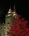 Salt Lake Temple at Christmas