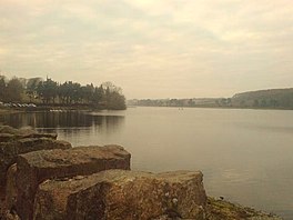 A misty shot of a lake surrounded by trees