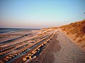 Beach and dike of Wangerooge