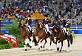 2008年夏季奥林匹克运动会马术比赛－团体盛装舞步赛金牌得主－德国