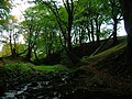 Looking up the glen towards the 'Moot Hill'