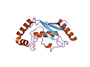 2esq: Human Ubiquitin-Conjugating Enzyme (E2) UbcH5b mutant Ser94Gly