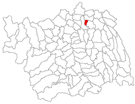 Location in Bacău County