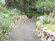 A Boyce Thompson Arboretum Trail