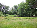 Overgrowth surrounds the two ponds behind Anneville