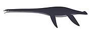 Fresnosaurus drescheri
