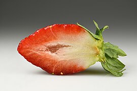 Garden strawberry (Fragaria × ananassa) halved