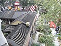 坚巷望香港医学博物馆(屋顶)，及附近花园