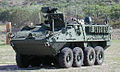 M1130指挥车
