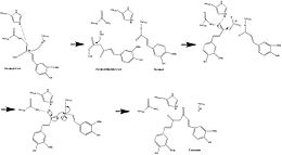 CURS1 Mechanism