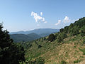 between Grand Ballon and Col Amic, panorama