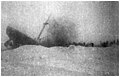 SS Chelyuskin sinking