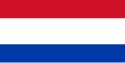 Flag of Republic of Paraguay (Francia)