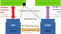 HSA-enabled virtual memory with distinct graphics card.svg