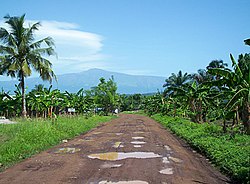 Mount Cameroon as seen from Tiko