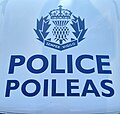 Police Scotland vehicle decal showing a stylised version of the Royal Badge of Scotland: A thistle surmounted by the Crown of Scotland