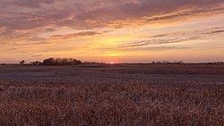 An autumn sunset in a field in the RM of Pipestone