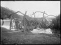 tRustic bridge at Ross Reservoir, Dunedin (1925)