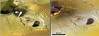 伽利略号拍摄的两张影像，显示熔岩流的区域在三个月内产生的移转，伽利略探测器在这幅影像中心观测到一个小的火山口喷发出熔岩帷幕，还有一个较大的熔岩湖在它的上方。