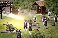 The Austrian Guard of the Citadel