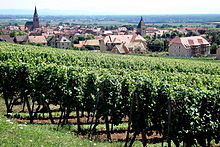 The village of Altenberg seen over vines.