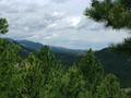View of the Black Hills within Custer State Park