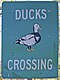 澳大利亚的鸭子横越标志