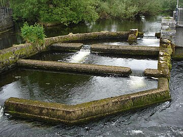 Fish ladder on the River Fergus which flows through Ennis.