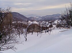 Kordíky in winter