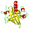 The tertiary structure of a mouse major urinary protein